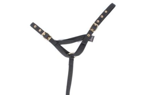Foal halter cross